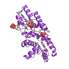 Estructura de ejemplo de sirohidroclorina cobaltoquelatasa EC #: 4.99.1.3