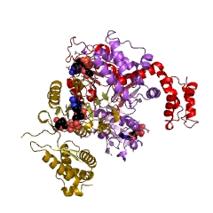 Exemple de structure de la sirohydrochlorine ferrochélatase EC #: 4.99.1.4