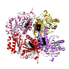 Example Structure of aliphatic aldoxime dehydratase EC#: 4.99.1.5
