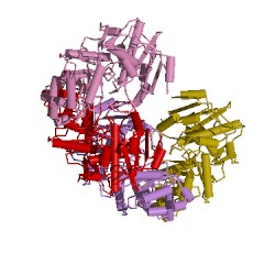 Example Structure of amino-acid racemase EC#: 5.1.1.10