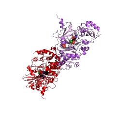 Example Structure of phenylalanine racemase (ATP-hydrolysing) EC#: 5.1.1.11