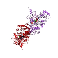 Beispielstruktur der Phenylalaninracemase (ATP-hydrolysierend) EC#: 5.1.1.11