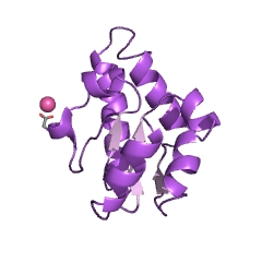 Example Structure of aspartate racemase EC#: 5.1.1.13
