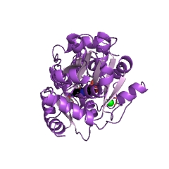 Example Structure of serine racemase EC#: 5.1.1.18