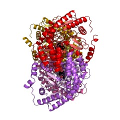 Example Structure of isoleucine 2-epimerase EC#: 5.1.1.21