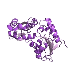Example Structure of glutamate racemase EC#: 5.1.1.3