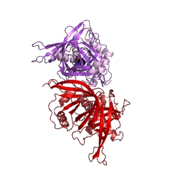 Example Structure of proline racemase EC#: 5.1.1.4