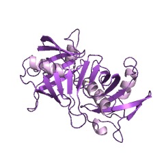 Example Structure of diaminopimelate epimerase EC#: 5.1.1.7