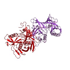 Example Structure of 4-hydroxyproline epimerase EC#: 5.1.1.8