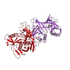 4-羥基脯氨酸差向異構酶EC＃的示例結構：5.1.1.8