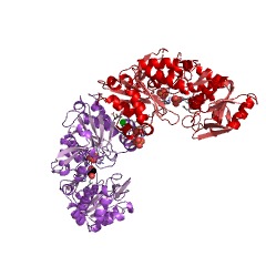 Example Structure of lactate racemase EC#: 5.1.2.1