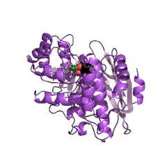 Example Structure of mandelate racemase EC#: 5.1.2.2