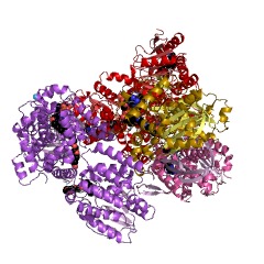 Example Structure of 3-hydroxybutyryl-CoA epimerase EC#: 5.1.2.3