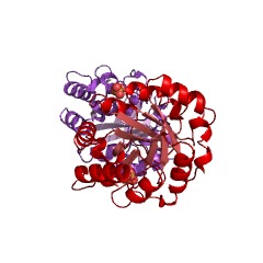 Example Structure of ribulose-phosphate 3-epimerase EC#: 5.1.3.1
