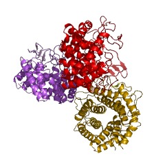 Example Structure of cellobiose epimerase EC#: 5.1.3.11