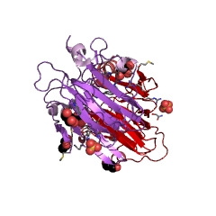 Example Structure of dTDP-4-dehydrorhamnose 3,5-epimerase EC#: 5.1.3.13