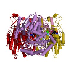 Example Structure of UDP-N-acetylglucosamine 2-epimerase (non-hydrolysing) EC#: 5.1.3.14