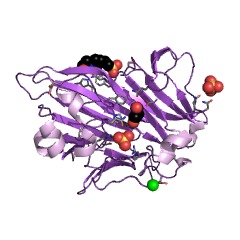 Example Structure of glucose-6-phosphate 1-epimerase EC#: 5.1.3.15