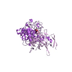 Example Structure of heparosan-N-sulfate-glucuronate 5-epimerase EC#: 5.1.3.17