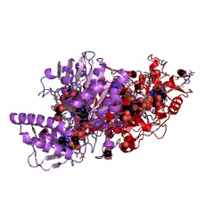 Example Structure of GDP-mannose 3,5-epimerase EC#: 5.1.3.18