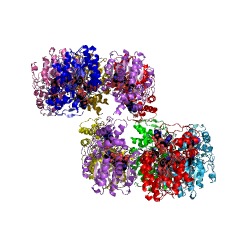 Example Structure of ADP-glyceromanno-heptose 6-epimerase EC#: 5.1.3.20