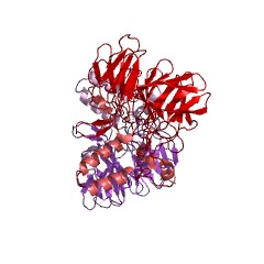 Example Structure of N-acetylneuraminate epimerase EC#: 5.1.3.24