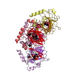 Example Structure of dTDP-4-dehydro-6-deoxy-D-glucose 3-epimerase EC#: 5.1.3.27