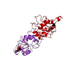 Example Structure of L-fucose mutarotase EC#: 5.1.3.29