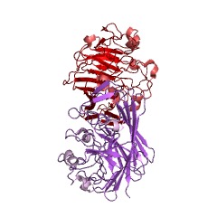 Example Structure of Aldose 1-epimerase EC#: 5.1.3.3