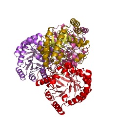 Example Structure of D-psicose 3-epimerase EC#: 5.1.3.30