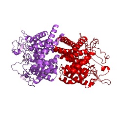 Example Structure of N-acylglucosamine 2-epimerase EC#: 5.1.3.8