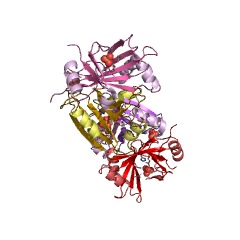 Example Structure of methylmalonyl-CoA epimerase EC#: 5.1.99.1