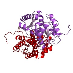 Example Structure of alantoin racemase EC#: 5.1.99.3
