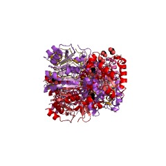 Example Structure of alpha-methylacyl-CoA racemase EC#: 5.1.99.4