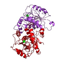 Example Structure of NAD(P)H-hydrate epimerase EC#: 5.1.99.6