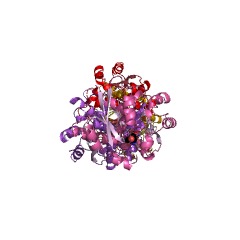 Example Structure of maleate isomerase EC#: 5.2.1.1