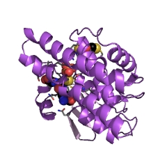 Example Structure of maleylacetoacetate isomerase EC#: 5.2.1.2