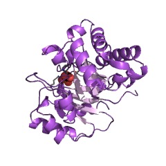 Example Structure of triose-phosphate isomerase EC#: 5.3.1.1