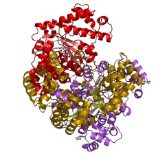 Example Structure of glucuronate isomerase EC#: 5.3.1.12