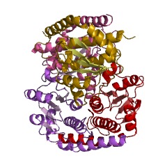 Example Structure of arabinose-5-phosphate isomerase EC#: 5.3.1.13