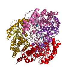 Example Structure of L-rhamnose isomerase EC#: 5.3.1.14