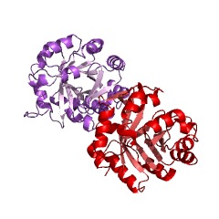 Example Structure of 1-(5-phosphoribosyl)-5-[(5-phosphoribosylamino)methylideneamino]imidazole-4-carboxamide isomerase EC#: 5.3.1.16