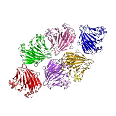 Example Structure of 5-dehydro-4-deoxy-D-glucuronate isomerase EC#: 5.3.1.17