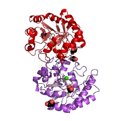 Example Structure of Hydroxypyruvate isomerase EC#: 5.3.1.22