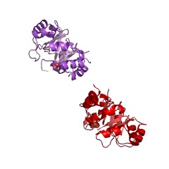 Example Structure of phosphoribosylanthranilate isomerase EC#: 5.3.1.24