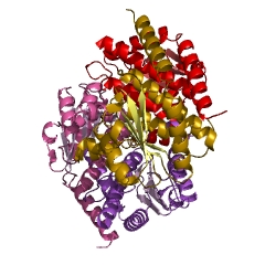 Example Structure of D-sedoheptulose 7-phosphate isomerase EC#: 5.3.1.28