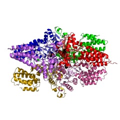 Example Structure of ribose 1,5-bisphosphate isomerase EC#: 5.3.1.29