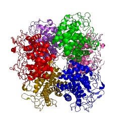 Example Structure of sulfoquinovose isomerase EC#: 5.3.1.31