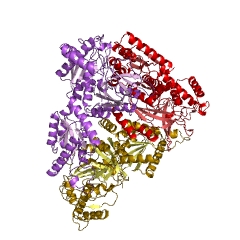 Example Structure of L-arabinose isomerase EC#: 5.3.1.4
