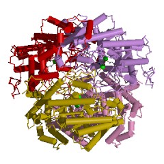 Example Structure of xylose isomerase EC#: 5.3.1.5